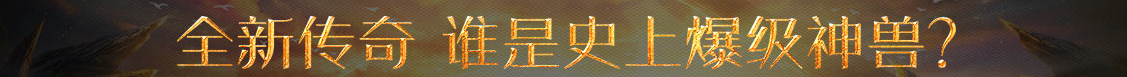 金州区新闻网